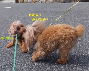 1DSCF29991.jpg