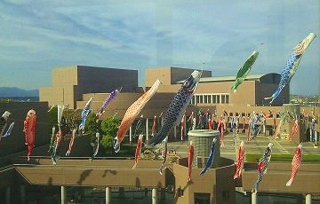 20150429_153215_253.jpg