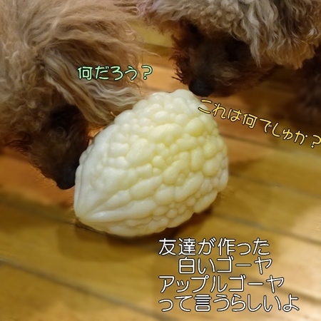 DSC08490.JPG