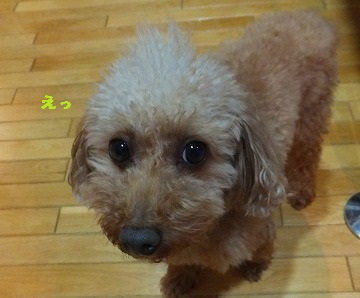 DSCF0024.jpg