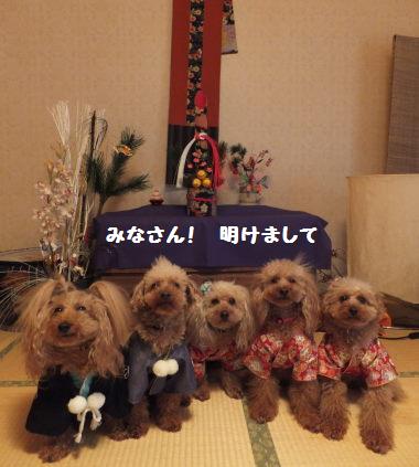 DSCF00251.jpg