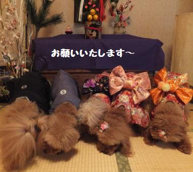 DSCF00291.jpg