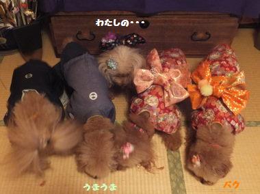 DSCF00491.jpg
