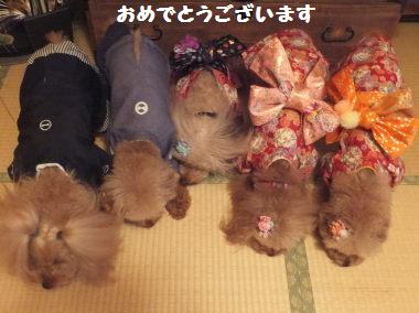 DSCF00501.jpg