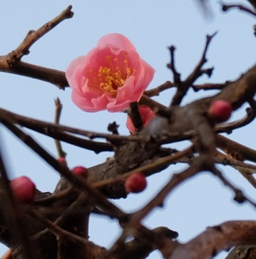 DSCF0083.jpg