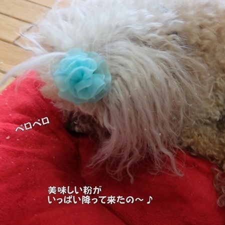 DSCF0308.jpg