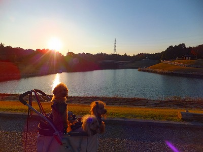 DSCF0312.jpg
