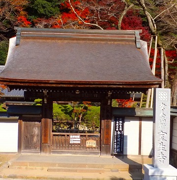 DSCF03471.jpg