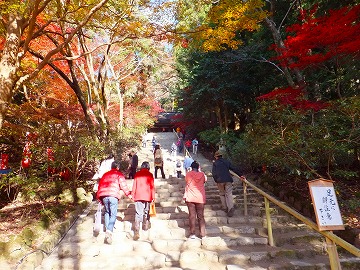 DSCF0358.jpg