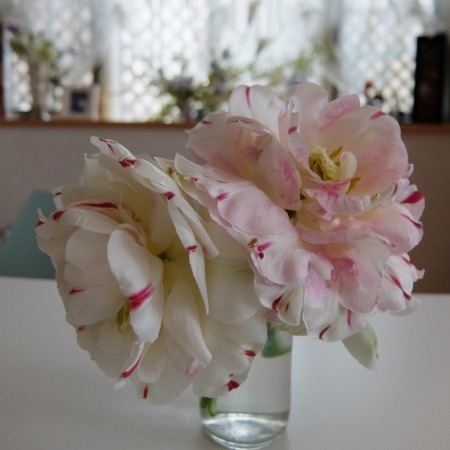 DSCF0395.jpg