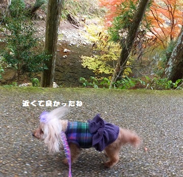 DSCF04171.jpg