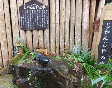 DSCF0418.jpg