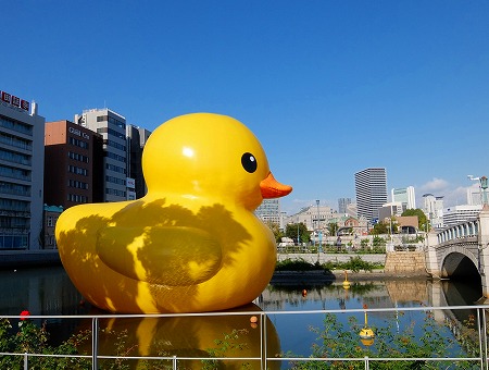 DSCF0419.jpg