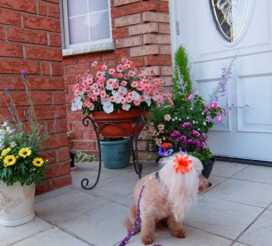 DSCF04231.jpg