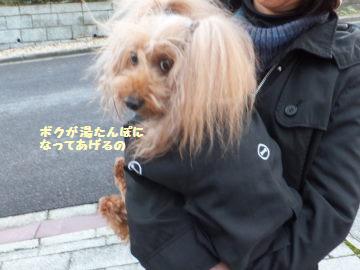 DSCF04431.jpg