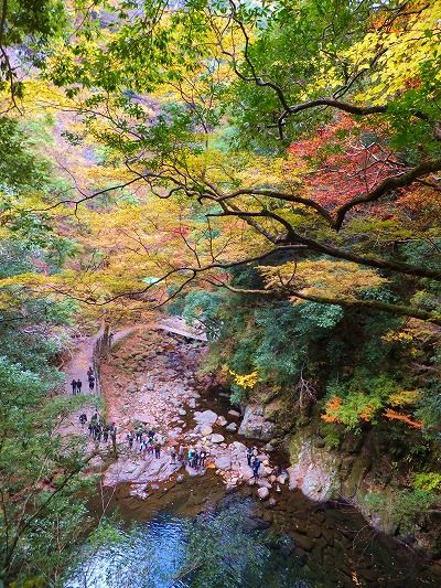 DSCF0444.jpg
