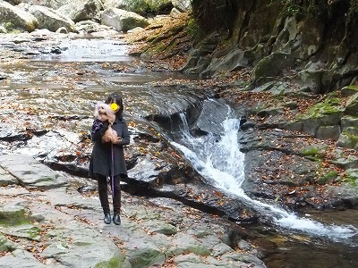 DSCF0527.jpg