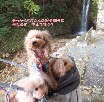 DSCF05841.jpg