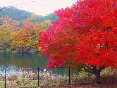 DSCF0591.jpg