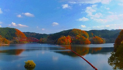 DSCF0600.jpg