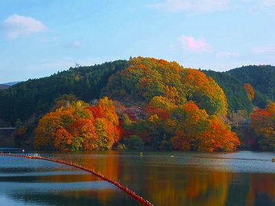 DSCF0601.jpg