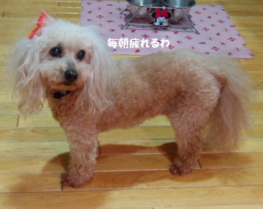 DSCF0612.jpg