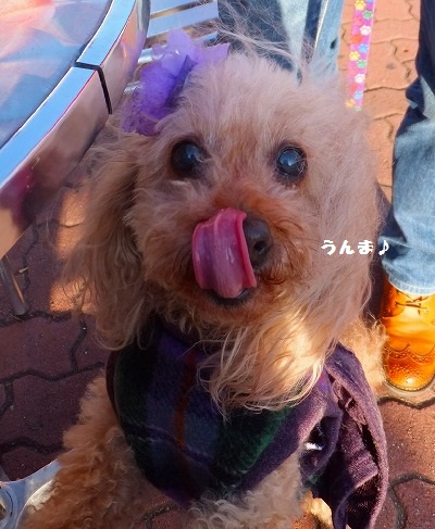 DSCF06121.jpg