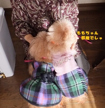 DSCF06351.jpg