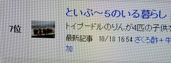 DSCF07041.jpg