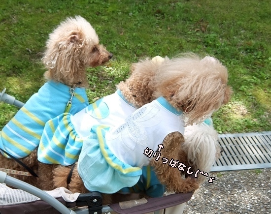 DSCF0748.JPG