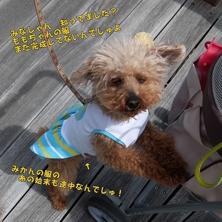 DSCF0786.JPG