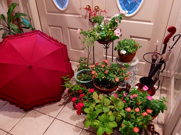 DSCF0814.jpg