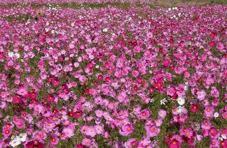 DSCF0821.jpg