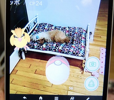 DSCF0822.jpg