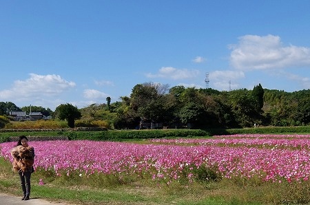 DSCF0825.jpg