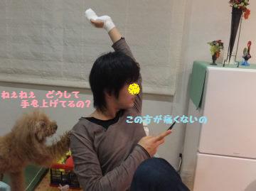 DSCF08691.jpg