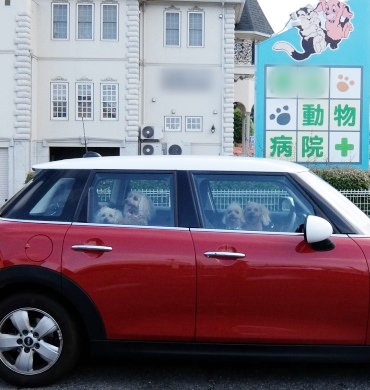 DSCF09081.jpg