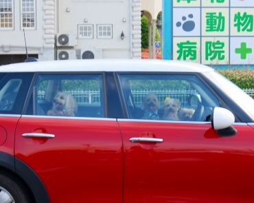 DSCF0913.jpg