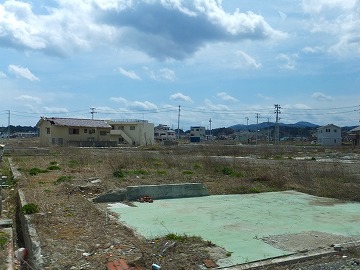 DSCF0990.jpg