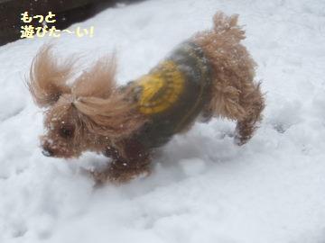 DSCF10121.jpg