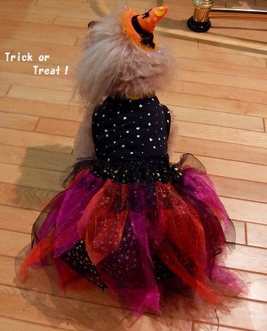 DSCF10191.jpg