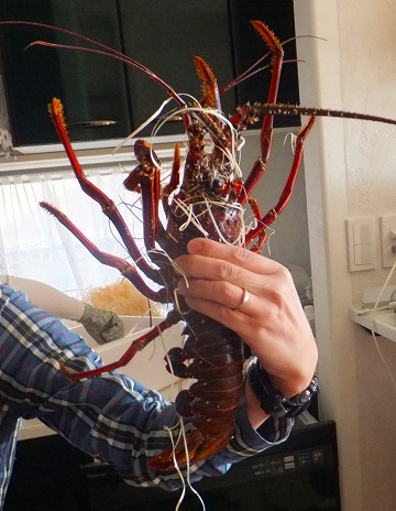 DSCF10931.jpg
