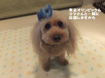 DSCF11151.jpg