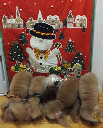 DSCF1216.jpg