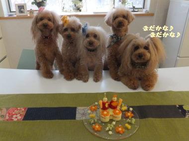 DSCF12281.jpg
