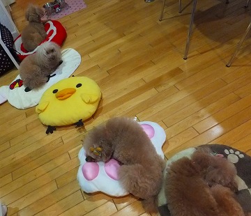 DSCF1234.jpg