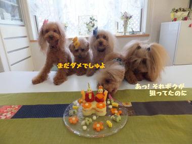 DSCF12352.jpg
