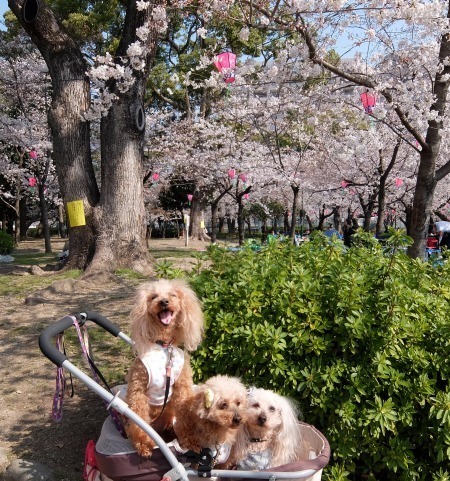 DSCF14181.jpg