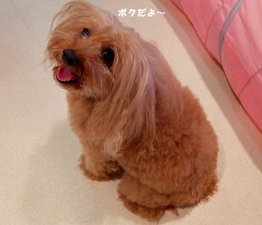 DSCF1492.jpg