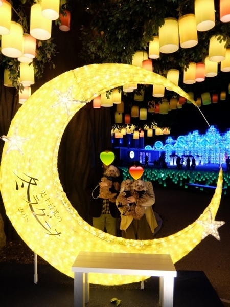 DSCF1517.jpg